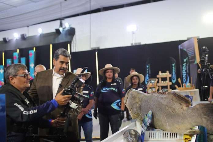 Ferias del pescado ofrecen ahorro significativo en Venezuela